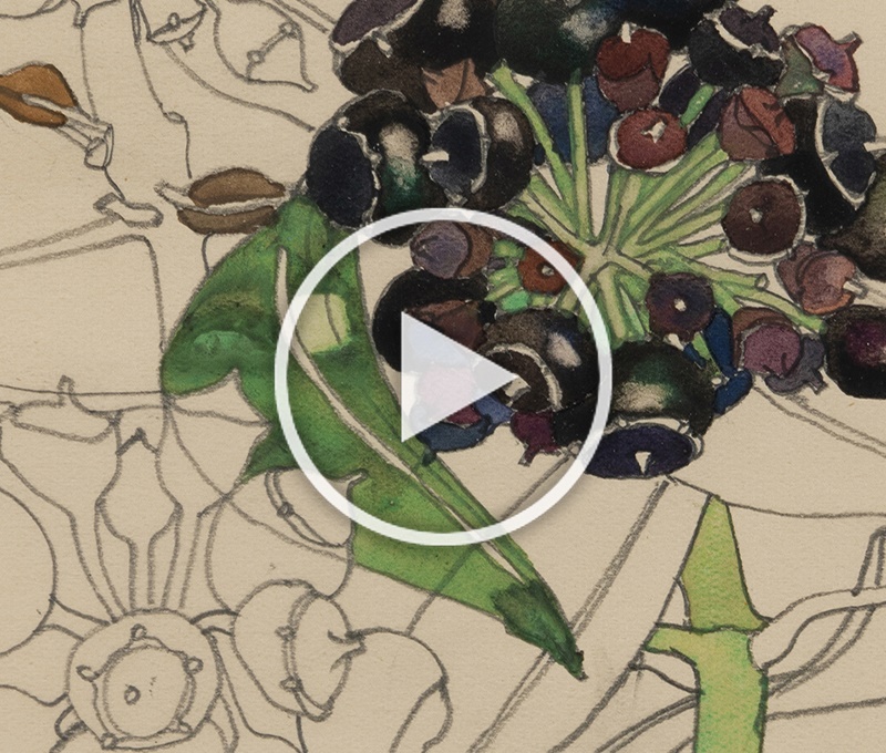 Watch | The Designs of Charles Rennie Mackintosh